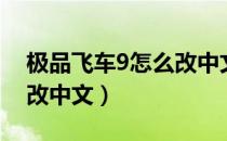 极品飞车9怎么改中文名字（极品飞车9怎么改中文）