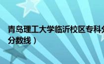 青岛理工大学临沂校区专科分数线（青岛理工大学临沂校区分数线）