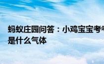 蚂蚁庄园问答：小鸡宝宝考考你汽车安全气囊里充入的主要是什么气体