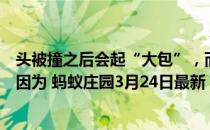 头被撞之后会起“大包”，而身体的其他部位则不会，这是因为 蚂蚁庄园3月24日最新