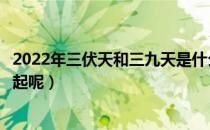 2022年三伏天和三九天是什么时候（三伏天从哪一天开始算起呢）