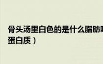 骨头汤里白色的是什么脂肪吗（骨头汤里白色的是脂肪还是蛋白质）