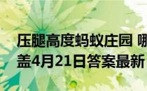 压腿高度蚂蚁庄园 哪种压腿高度不容易伤膝盖4月21日答案最新