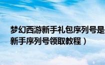 梦幻西游新手礼包序列号是多少（梦幻西游省钱礼包攻略-新手序列号领取教程）