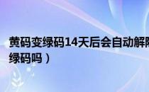 黄码变绿码14天后会自动解除吗（黄码未上报过了14天会变绿码吗）