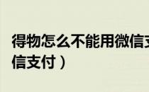 得物怎么不能用微信支付（得物怎么不能用微信支付）