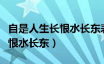 自是人生长恨水长东表达了什么（自是人生长恨水长东）