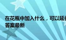 在花瓶中加入什么，可以延长鲜花的花期 蚂蚁庄园3月29日答案最新