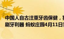 中国人自古注重牙齿保健，猜一猜：以下哪种植物是古代的刷牙利器 蚂蚁庄园4月11日答案最新