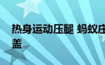 热身运动压腿 蚂蚁庄园压腿高度不容易伤膝盖