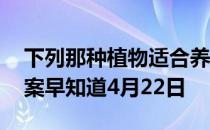 下列那种植物适合养在室内 蚂蚁庄园今日答案早知道4月22日