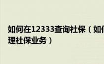 如何在12333查询社保（如何使用12333社保查询网官网办理社保业务）