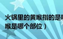 火锅里的黄喉指的是哪种部位（火锅里面的黄喉是哪个部位）