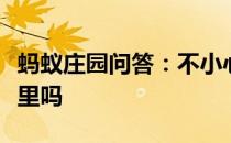 蚂蚁庄园问答：不小心吞下口香糖会粘在肠子里吗