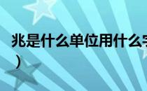 兆是什么单位用什么字母表示（兆是什么单位）