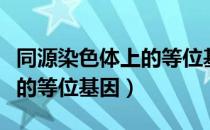 同源染色体上的等位基因去向（同源染色体上的等位基因）