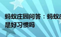 蚂蚁庄园问答：蚂蚁庄园吃饭时菜来了趁热吃是好习惯吗