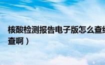 核酸检测报告电子版怎么查结果（核酸检测报告电子版怎么查啊）