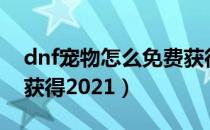 dnf宠物怎么免费获得2021（DNF宠物如何获得2021）