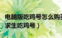 电脑版吃鸡号怎么购买（如何下载并购买绝地求生吃鸡号）