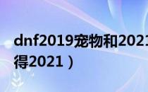 dnf2019宠物和2021宠物（DNF宠物如何获得2021）