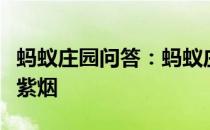 蚂蚁庄园问答：蚂蚁庄园今日答案日照香炉生紫烟