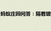 蚂蚁庄园问答：隔着玻璃晒太阳能有效补钙吗