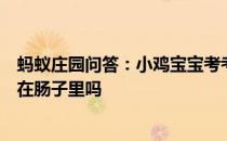 蚂蚁庄园问答：小鸡宝宝考考你不小心吞下口香糖真的会粘在肠子里吗