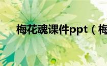 梅花魂课件ppt（梅花魂课件ppt课件）