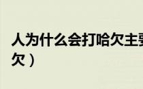 人为什么会打哈欠主要原因（人为什么会打哈欠）