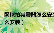 网球拍减震器怎么安装视频（网球拍减震器怎么安装）