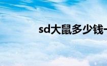 sd大鼠多少钱一只（sd大鼠）