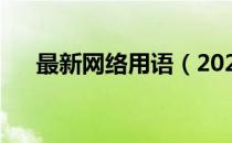 最新网络用语（2021最火网络流行语）