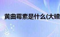 黄曲霉素是什么(大碴子轻微发霉还能吃吗)