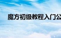 魔方初级教程入门公式（魔方玩法攻略）