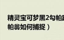 精灵宝可梦黑2勾帕路翁（口袋妖怪黑2勾路帕翁如何捕捉）