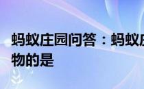 蚂蚁庄园问答：蚂蚁庄园下列词牌名中含有人物的是