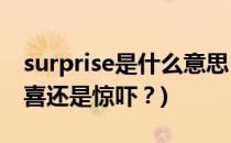 surprise是什么意思(‘Surprise’到底是惊喜还是惊吓？)