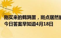 刚买来的鹤鹑蛋，斑点居然能清洗掉，是怎么回事 蚂蚁庄园今日答案早知道4月18日