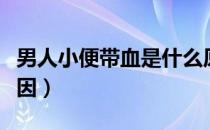 男人小便带血是什么原因（小便带血是什么原因）