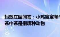 蚂蚁庄园问答：小鸡宝宝考考你老夫聊发少年狂左牵黄右擎苍中苍是指哪种动物