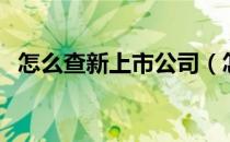 怎么查新上市公司（怎么查新上市的股票）