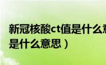 新冠核酸ct值是什么意思（新冠核酸检测ct值是什么意思）