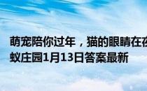 萌宠陪你过年，猫的眼睛在夜里“闪闪发光”，主要因为 蚂蚁庄园1月13日答案最新