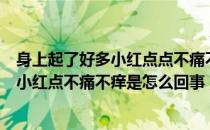 身上起了好多小红点点不痛不痒是什么情况（身上起了很多小红点不痛不痒是怎么回事）