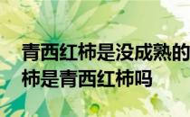 青西红柿是没成熟的西红柿吗 没成熟的西红柿是青西红柿吗