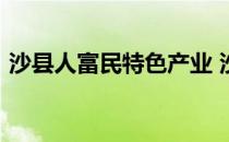 沙县人富民特色产业 沙县小吃蚂蚁新村4.16