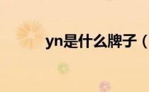 yn是什么牌子（yn是什么品牌）