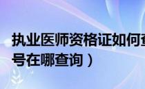 执业医师资格证如何查询（执业医师资格证编号在哪查询）