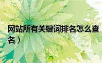 网站所有关键词排名怎么查（如何大批量查询网站关键词排名）